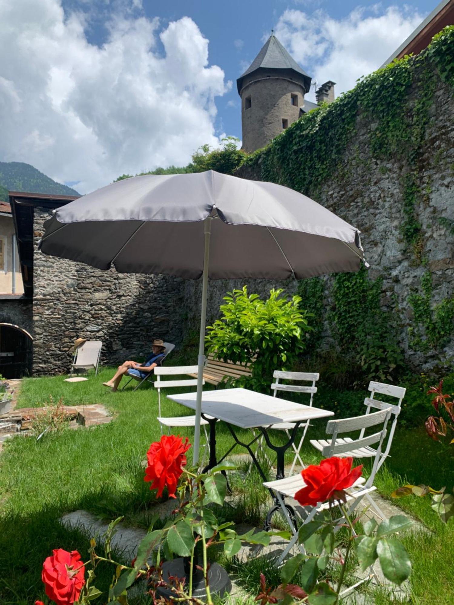Au Cheval Blanc - Appartements Et Chambres D'Hotes Albertville Exteriér fotografie